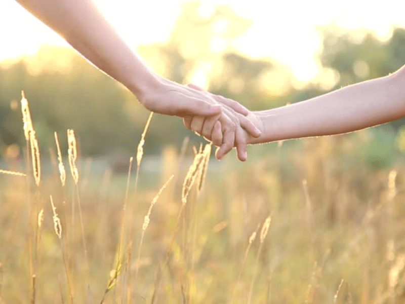 Understanding and Healing&nbsp;Fragmentation