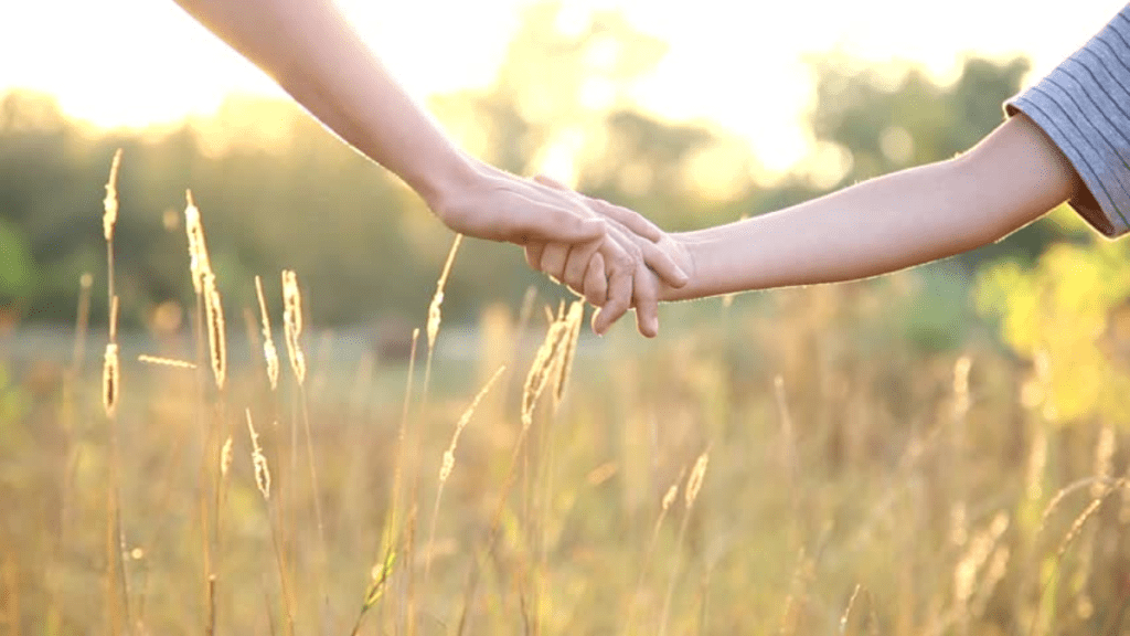 understanding and healing Fragmentation