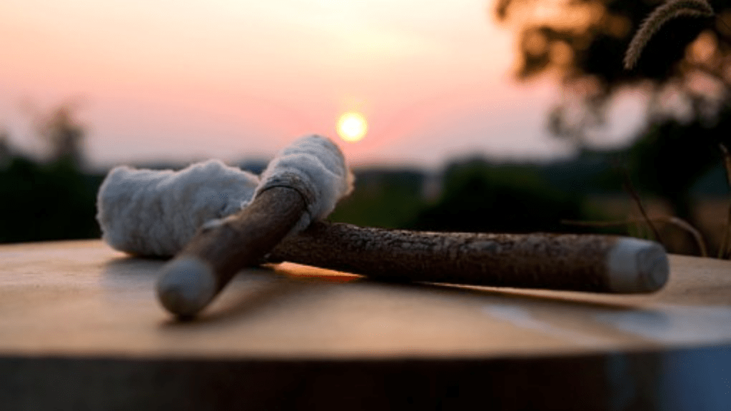 Healing Fragmented Pieces Through Shamanic&nbsp;Journeying