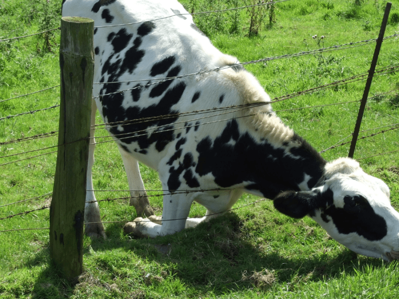 The Pursuit of Happiness won’t end in&nbsp;Happiness