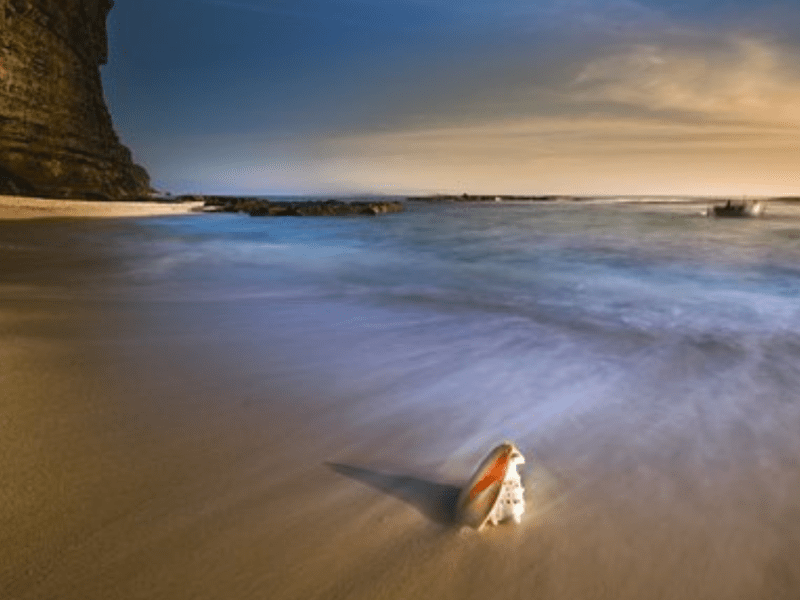 Asking For What You&nbsp;Want