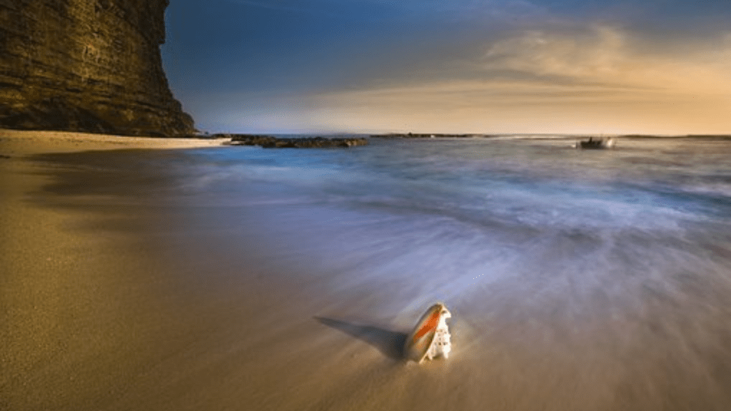 Manifestation: How to get what you want