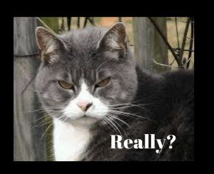 Plagiarism in blogging