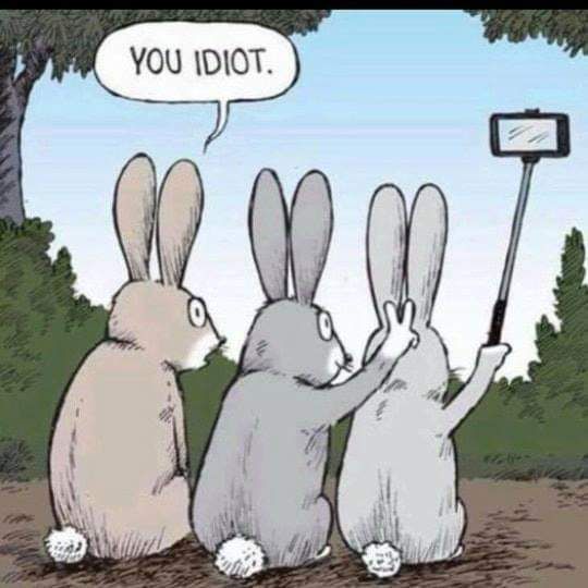 Top 20 Pinterest Engagements in 90 days