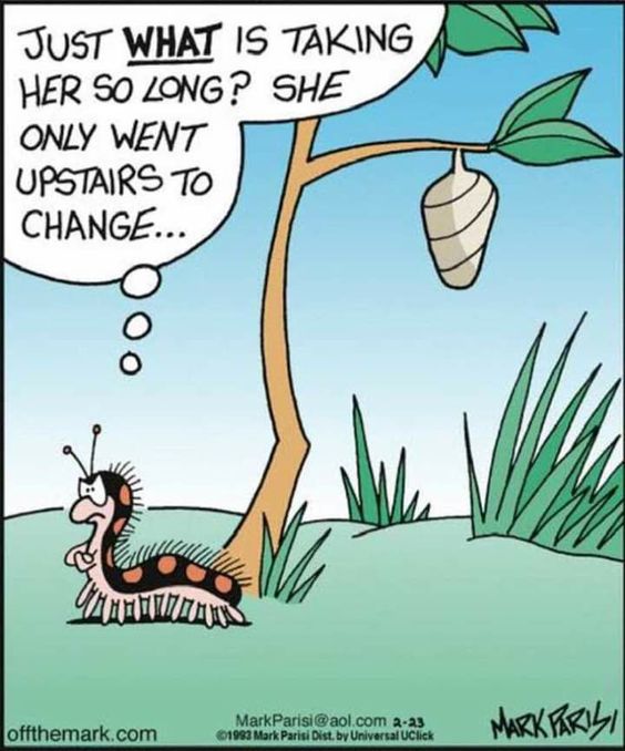 Top 20 Pinterest Engagements in 90 days