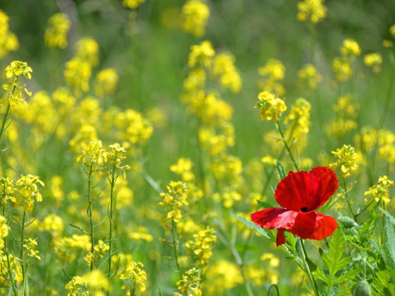 You are You, end of&nbsp;Story