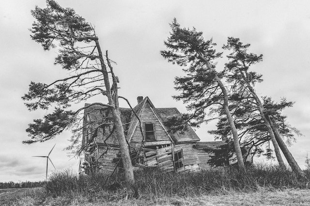 Photo by Harrison Haines: https://www.pexels.com/photo/grayscale-photography-of-trees-and-house-2869657/