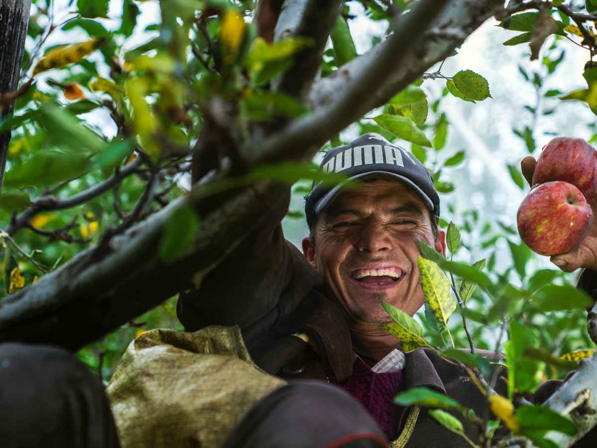 Organic vs Artificial